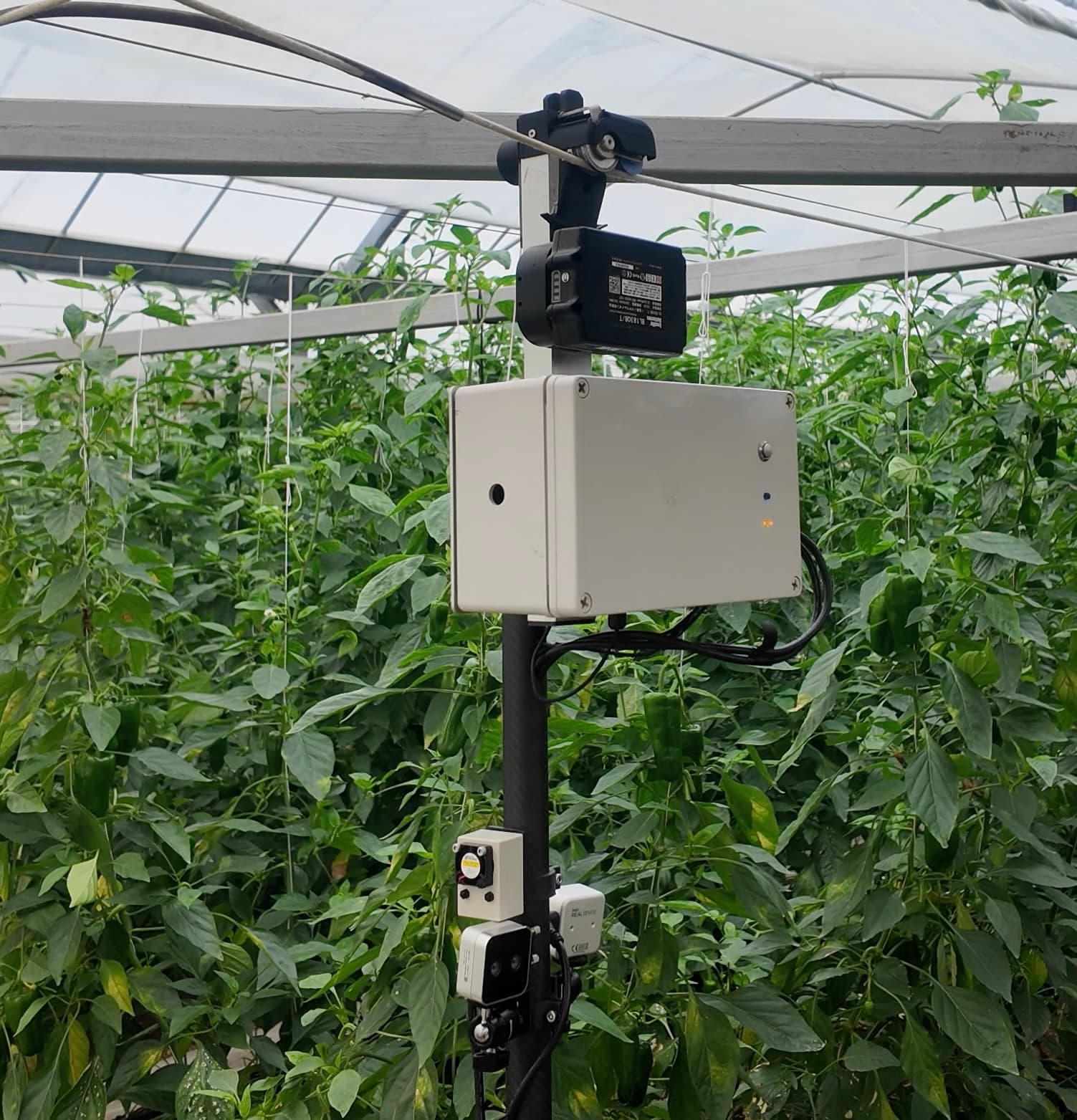 TUBAMEのワイヤー走行機構