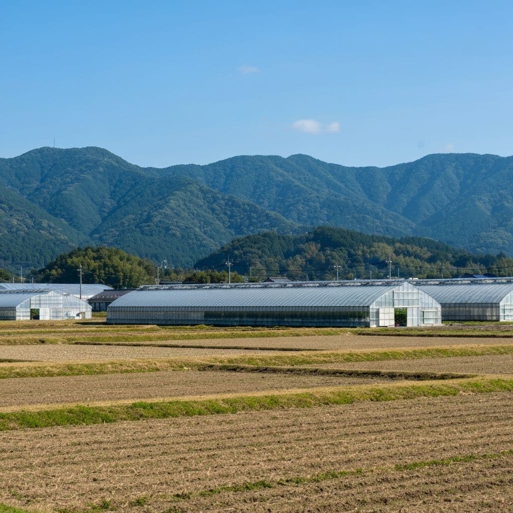 宮崎・ピーマンハウスで実機稼働